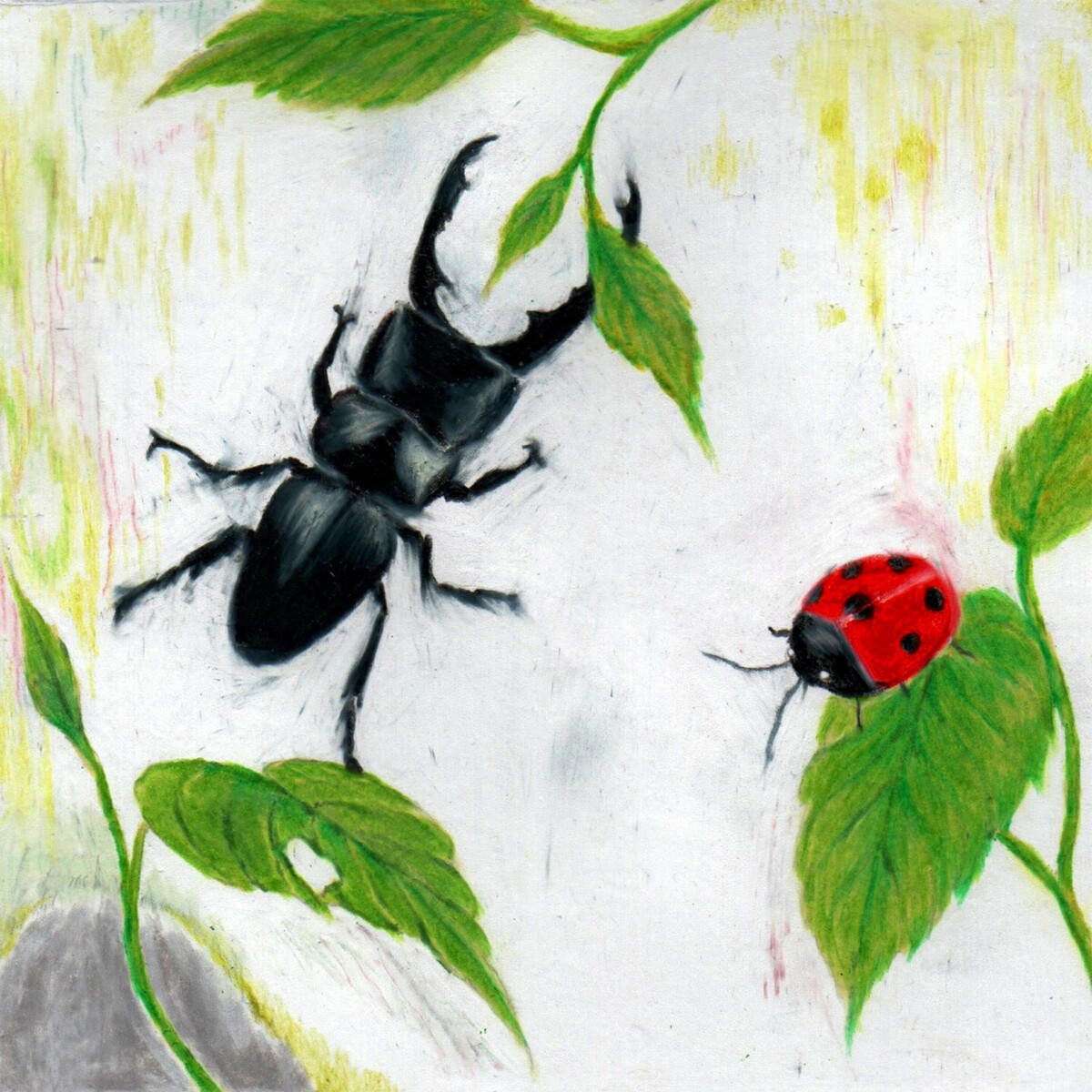 Image Cover